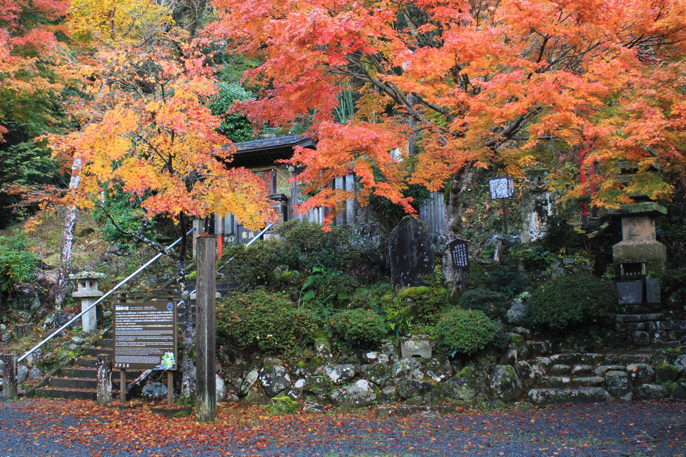 修善寺温泉 指月殿横・源頼家の墓前の紅葉