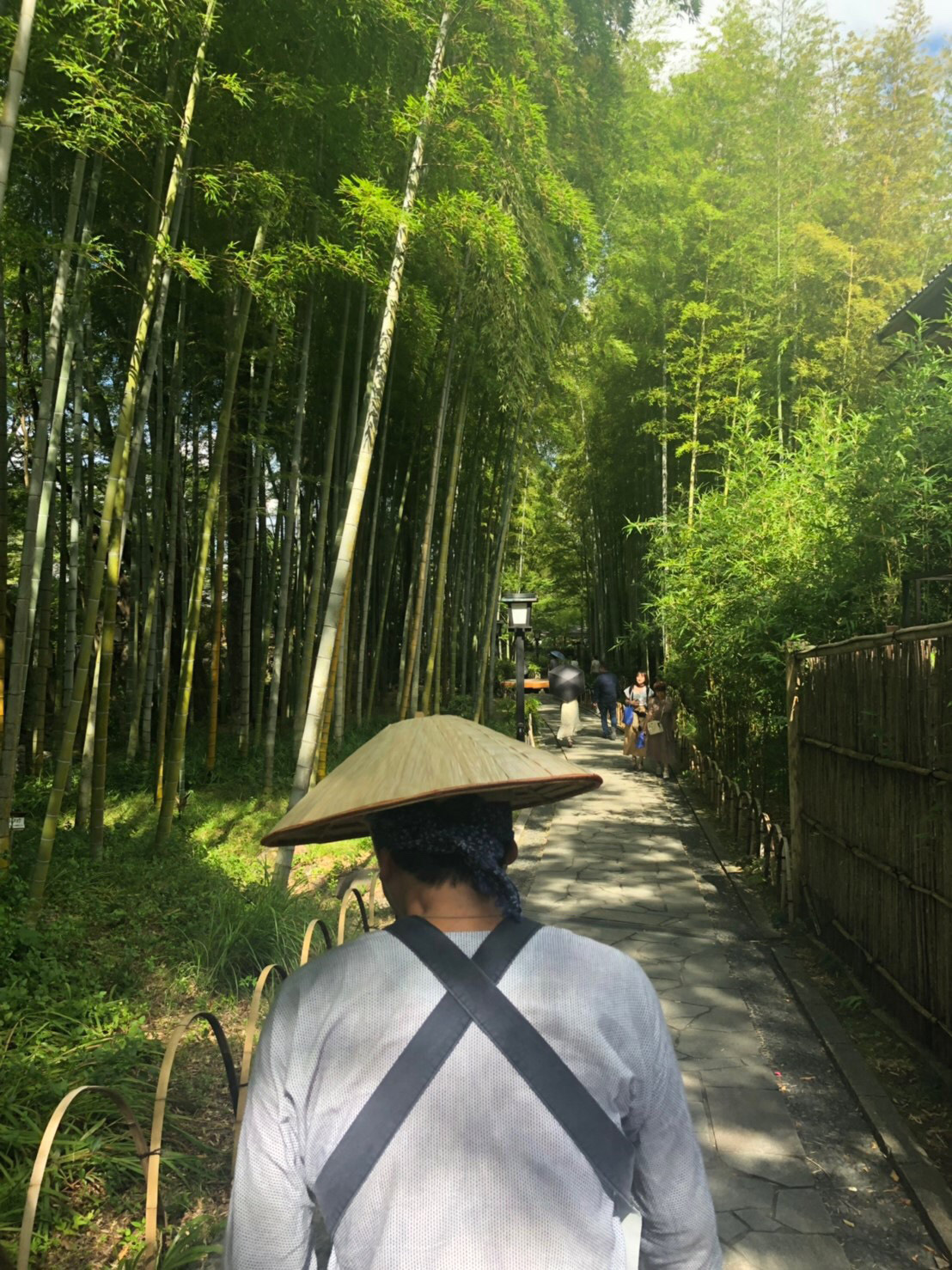 修善寺温泉　人力車に乗って堪能する竹林の小径