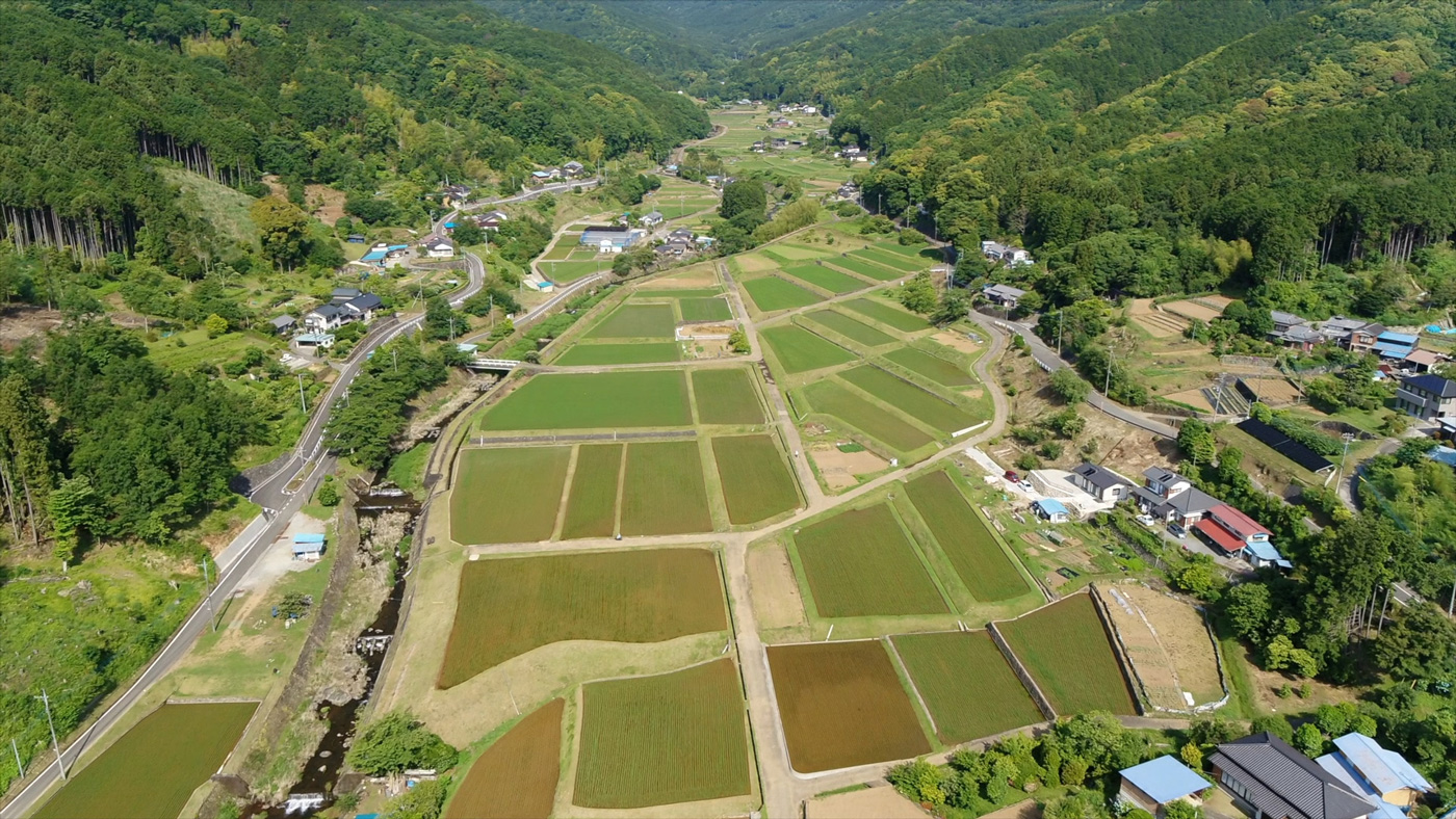 修善寺温泉　特別栽培米　桂流こしひかりの田んぼ