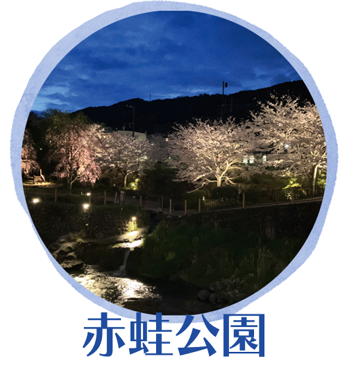 修善寺温泉　匠の灯り径　赤蛙公園