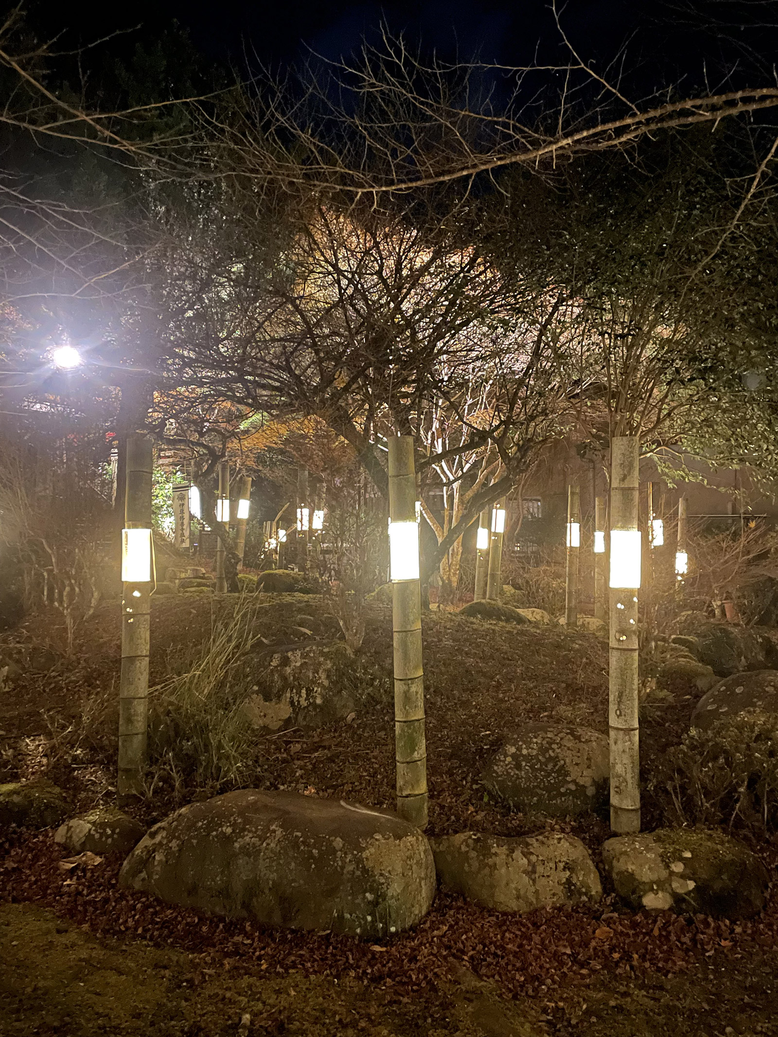 修善寺温泉　匠の灯り径　2024年12月1日〜2025年3月31日開催