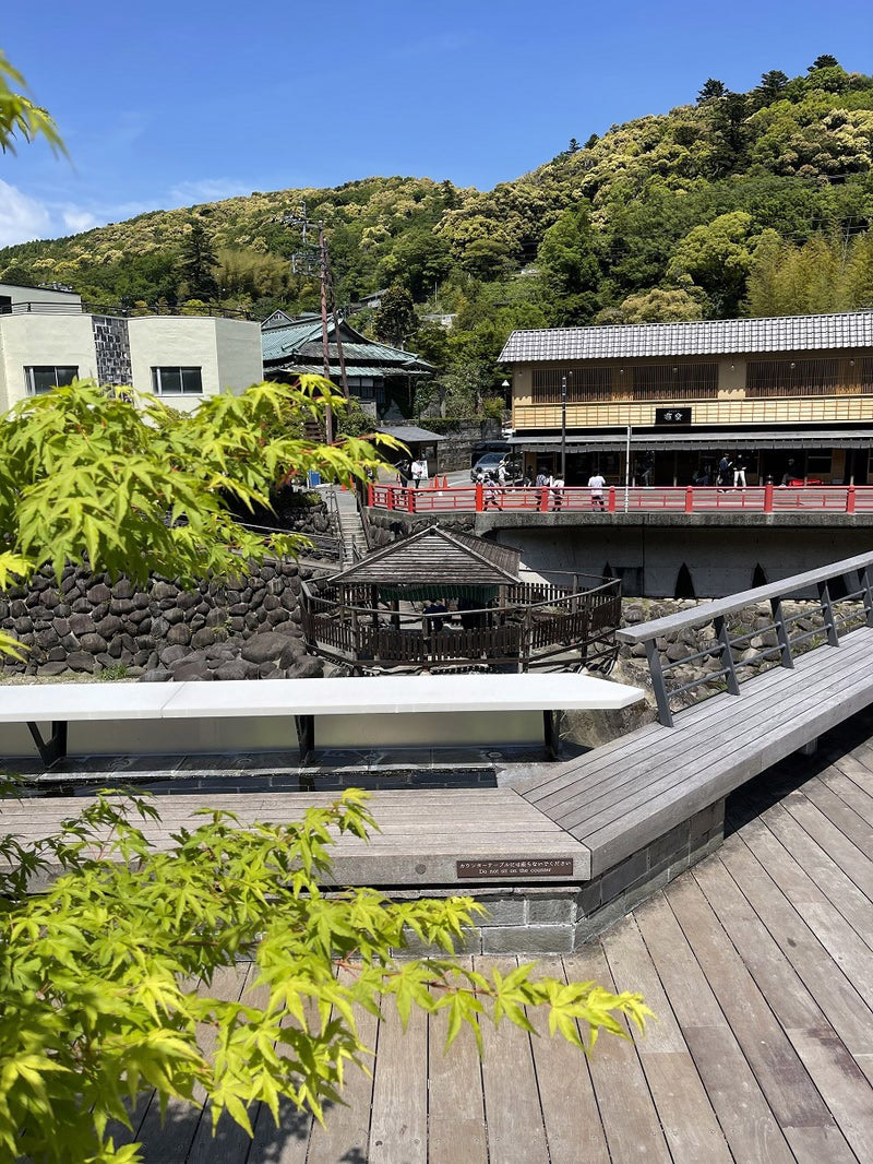 修善寺温泉　足湯　リバーサイド杉の湯　新緑