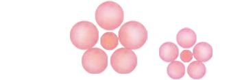 梅：5分咲き